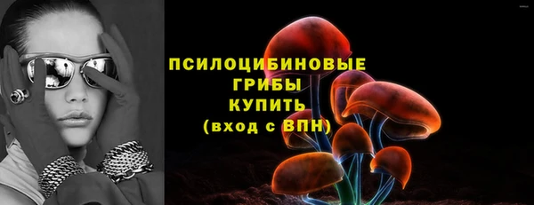ГАЛЛЮЦИНОГЕННЫЕ ГРИБЫ Алексин