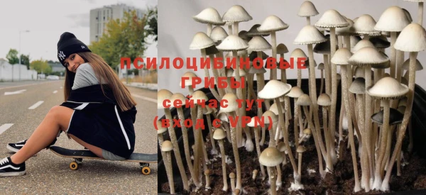 бутират Алексеевка