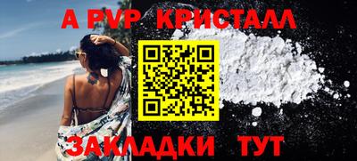стафф Гатчина