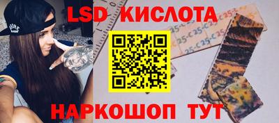 стафф Гатчина