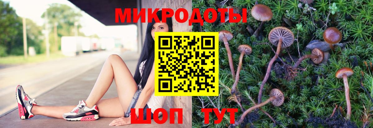 Самара  магазин  наркотиков  Вход с VPN  Псилоцибиновые грибы мухоморы 