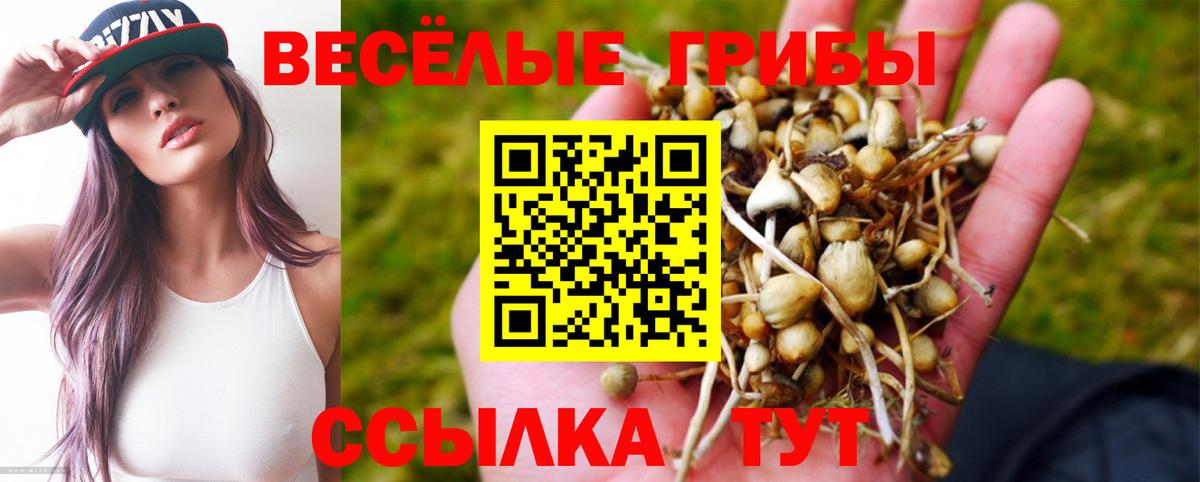 Псилоцибиновые грибы Cubensis Самара